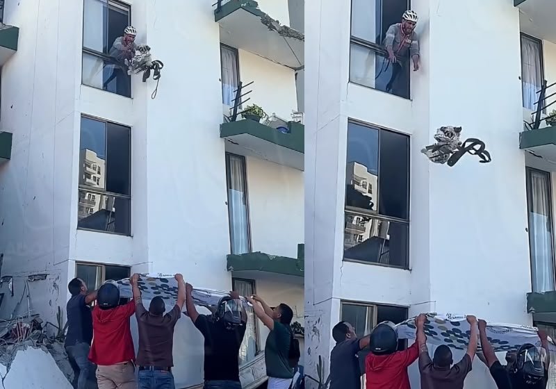 Moradores usam lençol para salvar cachorrinho preso após terremoto; vídeo